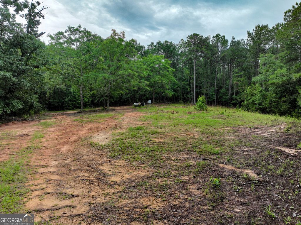 Photo of 240 Pebble Hill Road SE, Milledgeville, GA 31061 (MLS # 10787499)