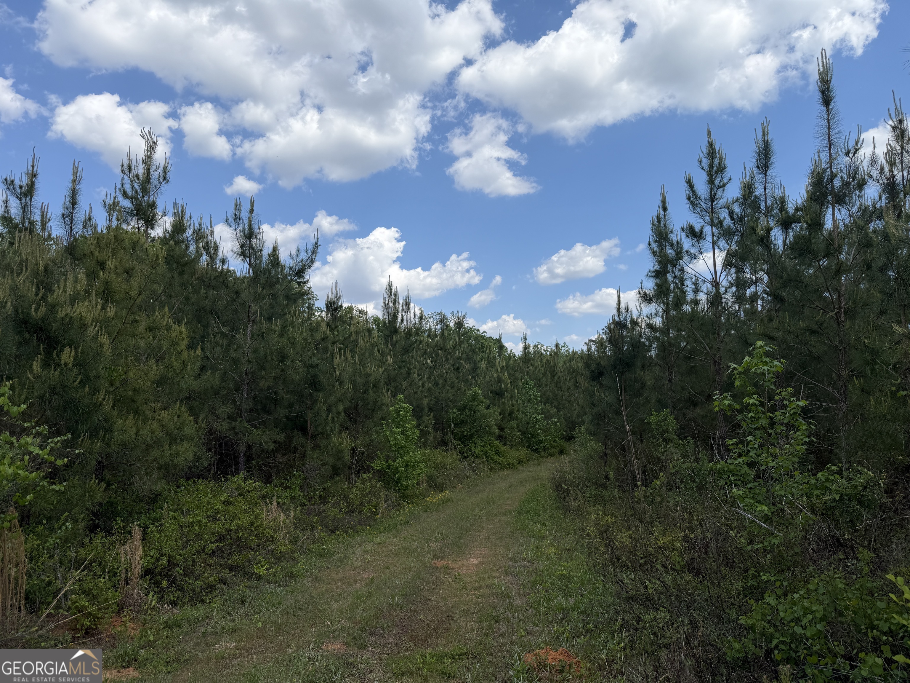 0077 George Milling Rd