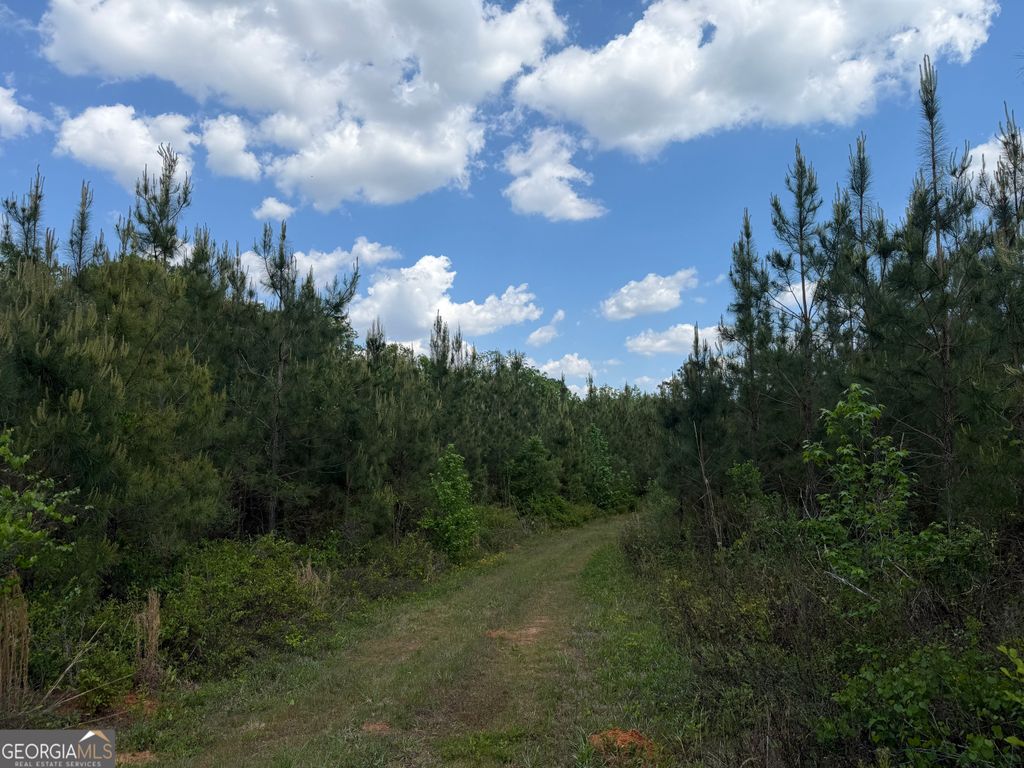 Photo of 77 George Milling Rd, Cuthbert, GA 39840 (MLS # 10754737)