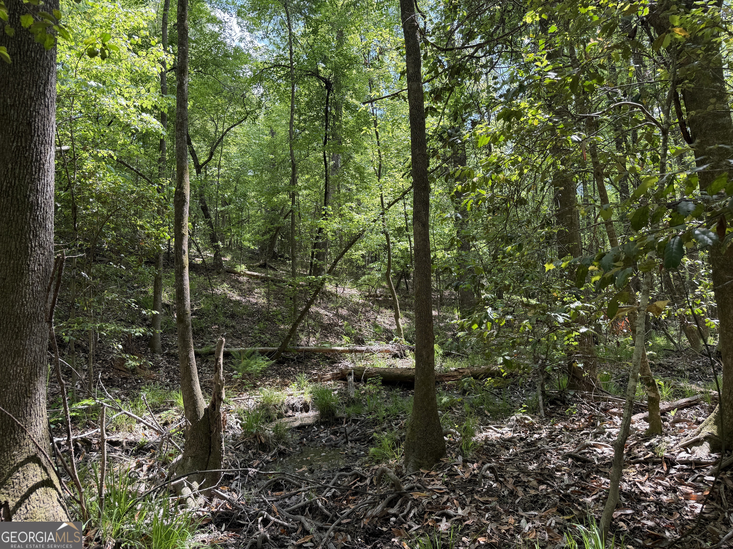 0077 George Milling Rd