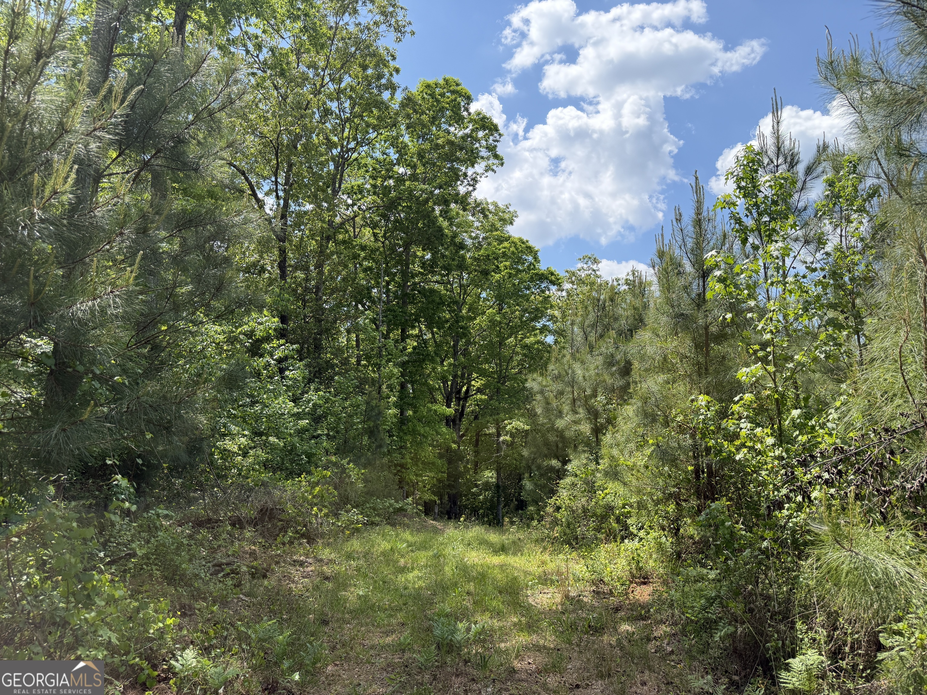 0077 George Milling Rd