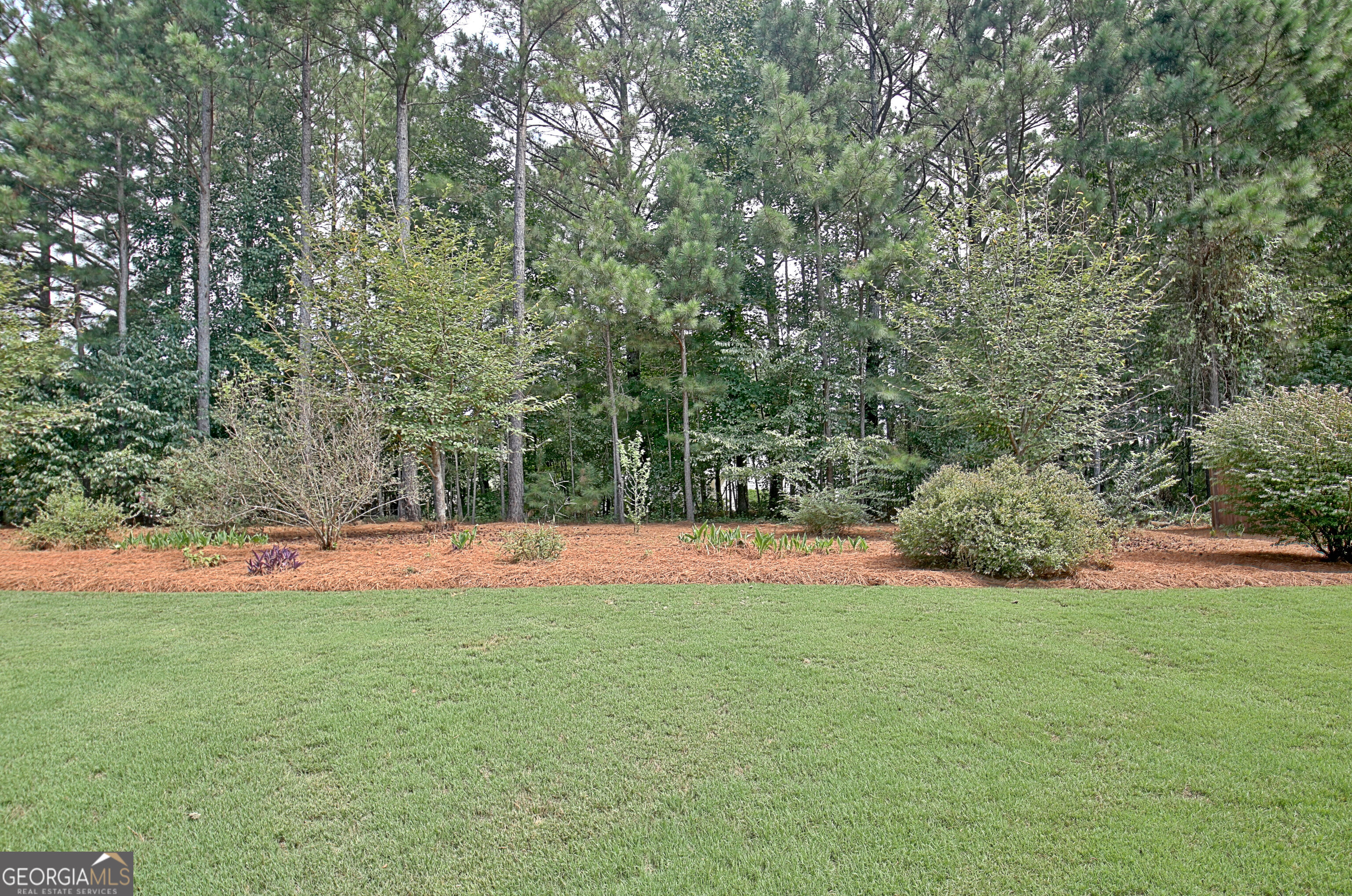 Senoia, Georgia 30276, United States, 5 Bedrooms Bedrooms, ,4 BathroomsBathrooms,Residential,Active,197096