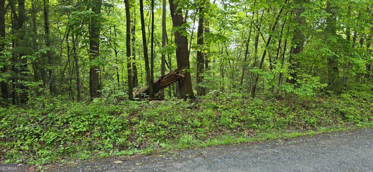Build Your Dream Home in Coosawattee River Resort! Come explore one of the few ready-to-build private wooded lots in the highly sought-after Coosawattee River Resort! This beautiful, perked lot features a new survey, clearly marked corners, and is nestled in a tranquil setting-perfectly prepped for your builder to start creating your dream mountain retreat. Located in one of the area's premier gated communities, this lot offers access to unmatched resort-style amenities, making it ideal for full-time living or a weekend getaway. Residents enjoy Three swimming pools, including a heated Junior Olympic-sized pool and a kiddie pool. A full-service Recreation Center with fitness center, game room, Wi-Fi, and Satellite TV. Tennis, pickleball, basketball courts, and an 18-hole miniature golf course. A large covered pavilion for events and gatherings. Easy access to the Coosawattee River for tubing, kayaking, or relaxing riverside. With all infrastructure in place, this is your opportunity to build a custom home in a community that blends nature, luxury, and recreation. Don't miss this chance to own a piece of the North Georgia mountains-schedule your visit today!