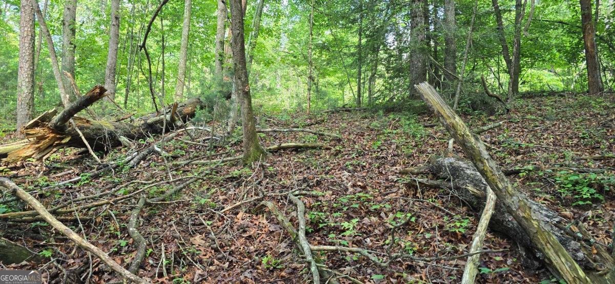 LOT 3760 Graham CT