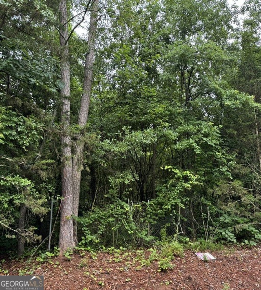 Photo of 0 Lewis Drive #LOT 20, Lavonia, GA 30553 (MLS # 10776193)