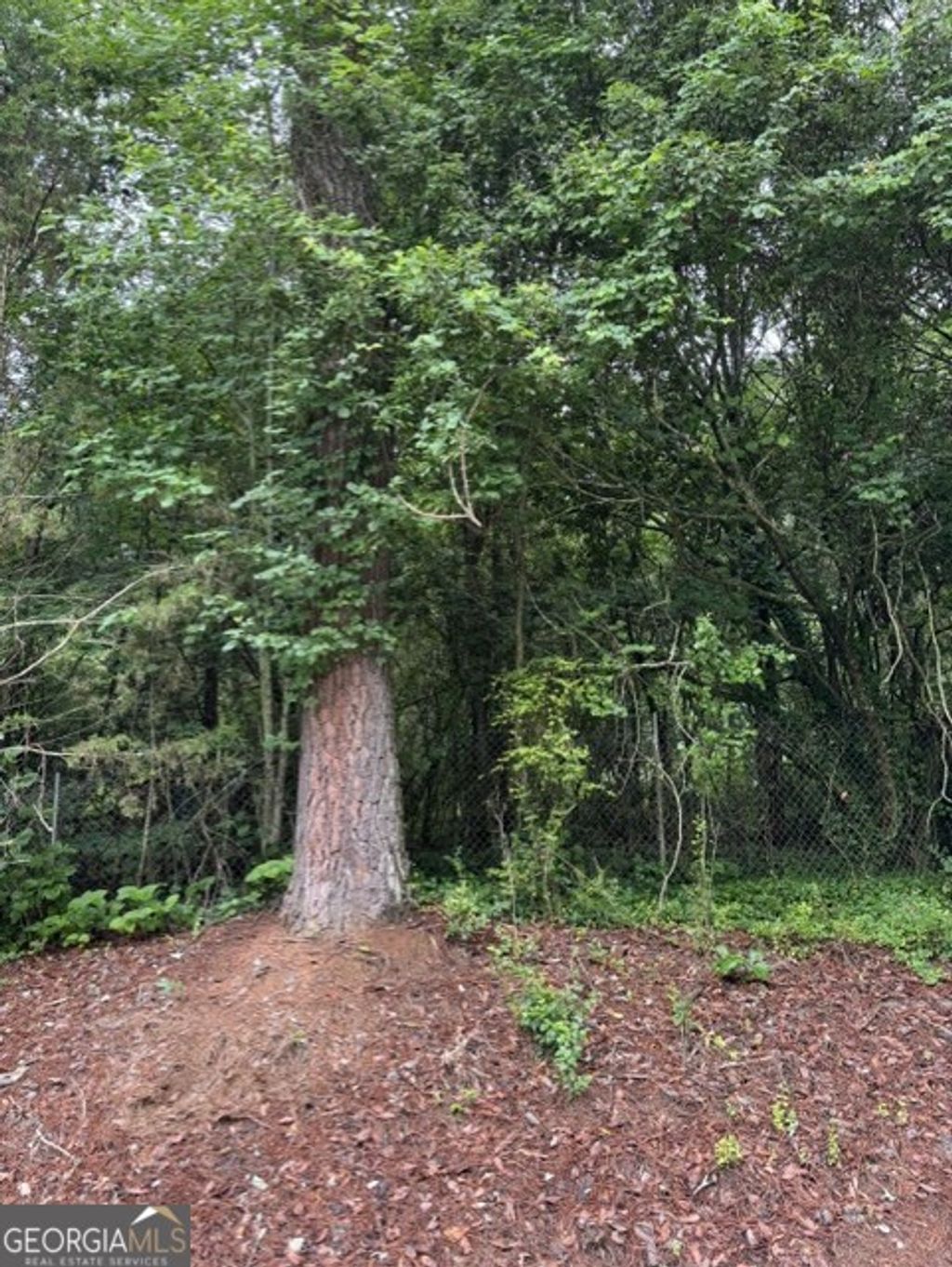 Photo of 0 Lewis Drive #LOT 20, Lavonia, GA 30553 (MLS # 10776193)