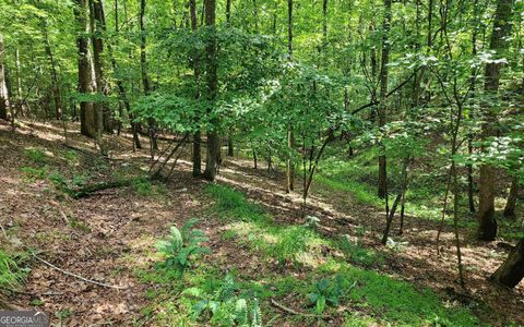 0 Oneida CIR Ellijay GA 30540