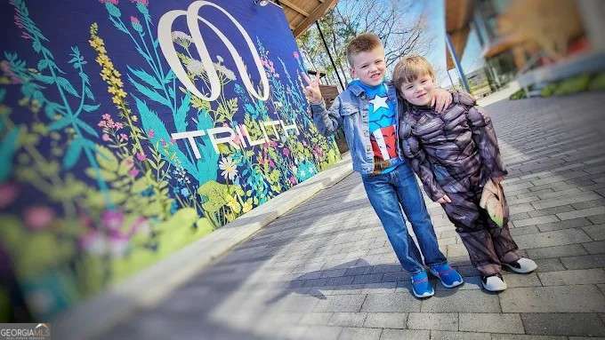 The Cottages at East Lanier - Residential