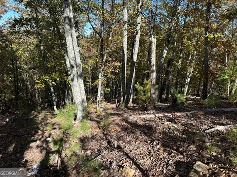 Photo of 3 Culp Lake Road, Cedartown, GA 30125 (MLS # 10690413)