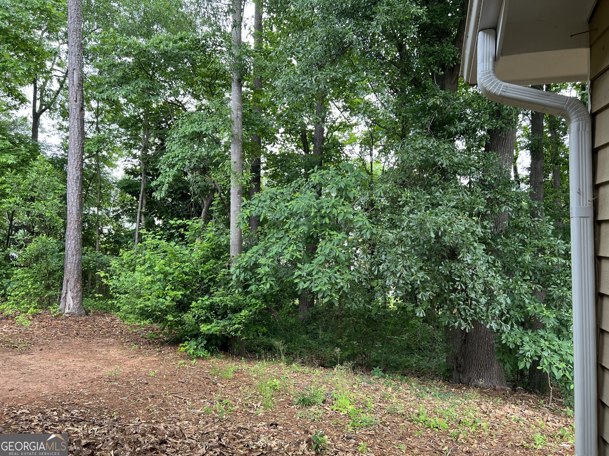 Wynndowne - Residential Lease