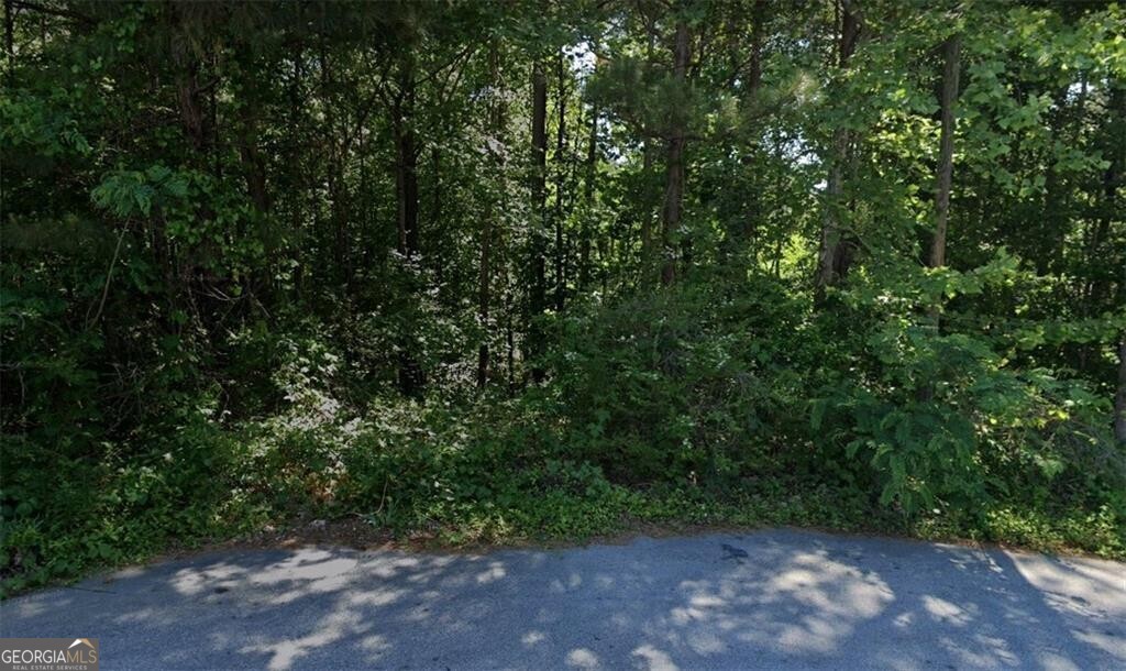 77 Summer Lake PL