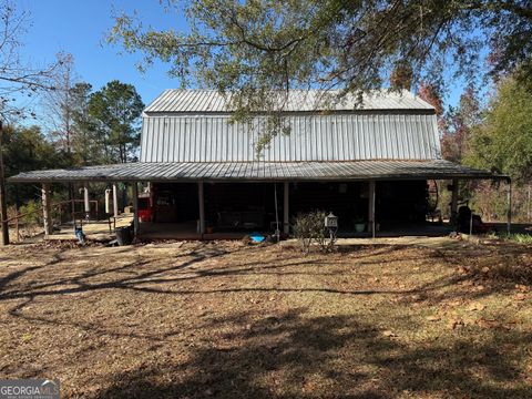 50 Holanna Creek RD Morris GA 39867