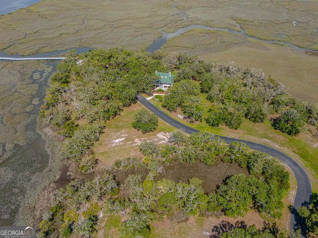 Photo of 226 Coppers Landing Drive NE, Shellman, GA 39886 (MLS # 10768341)
