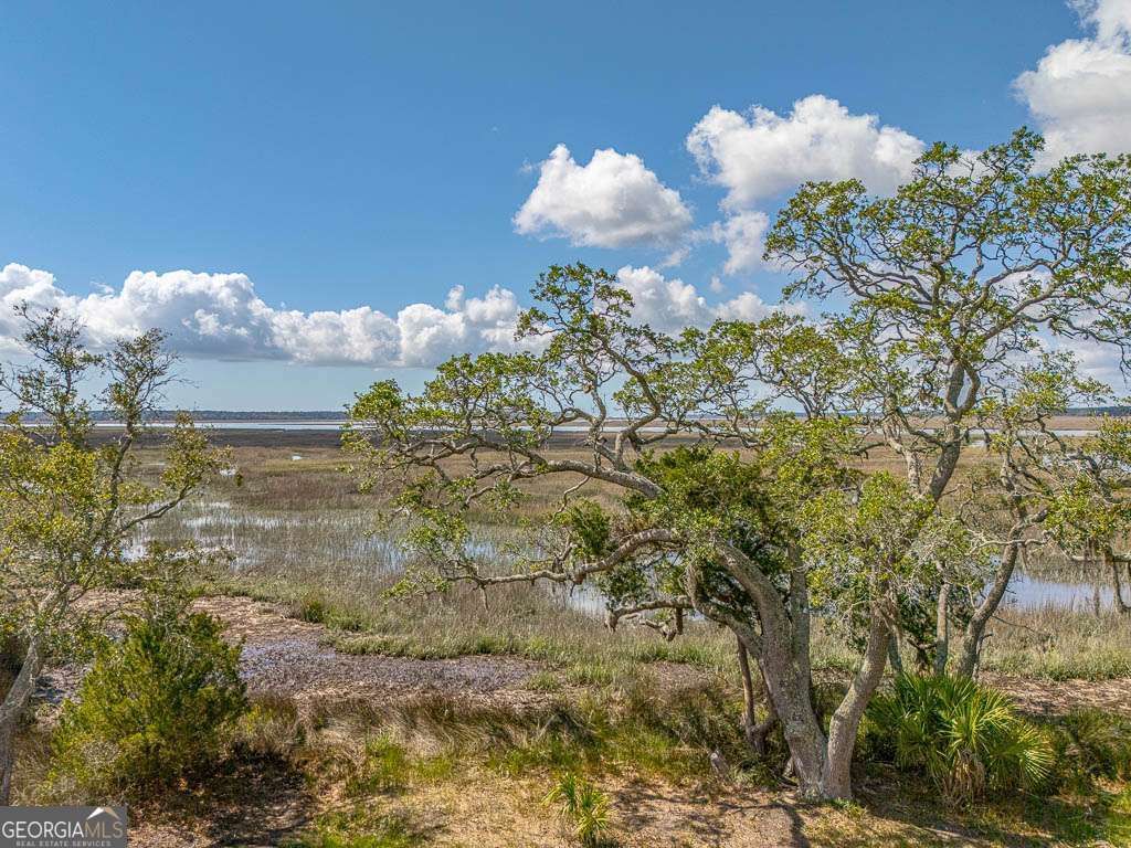 Photo of 226 Coppers Landing Drive NE, Shellman, GA 39886 (MLS # 10768341)