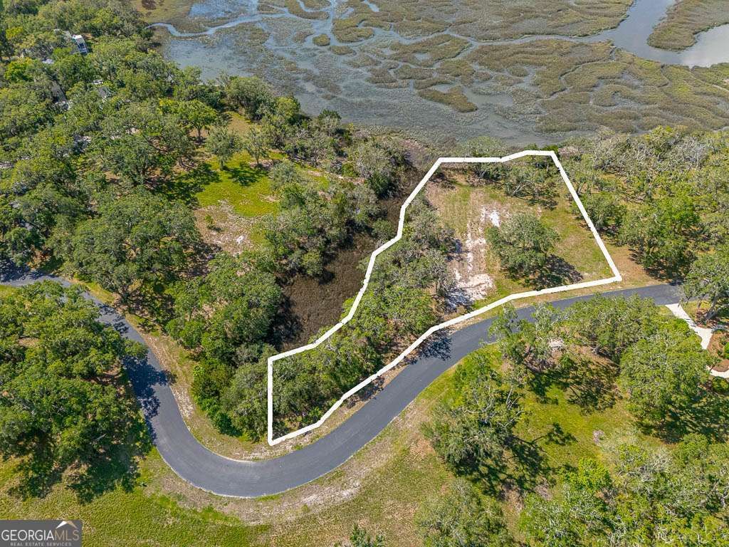 Photo of 226 Coppers Landing Drive NE, Shellman, GA 39886 (MLS # 10768341)
