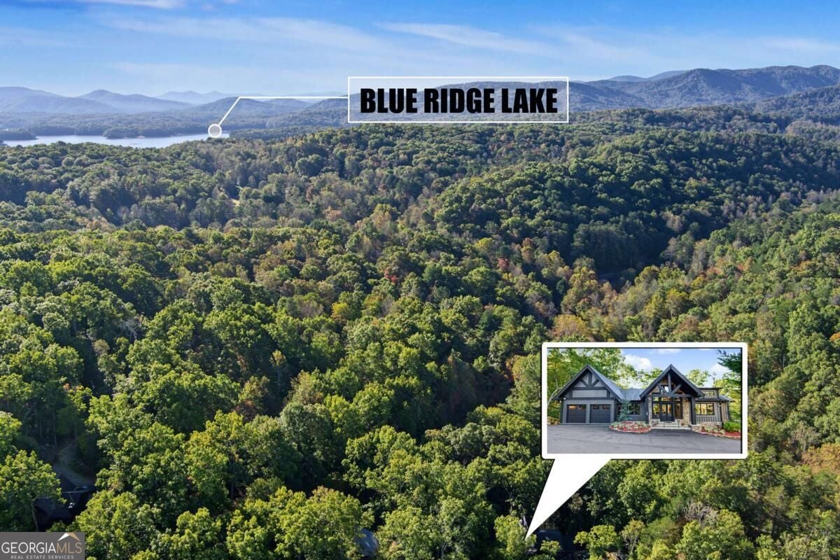 361 Bluebird LN