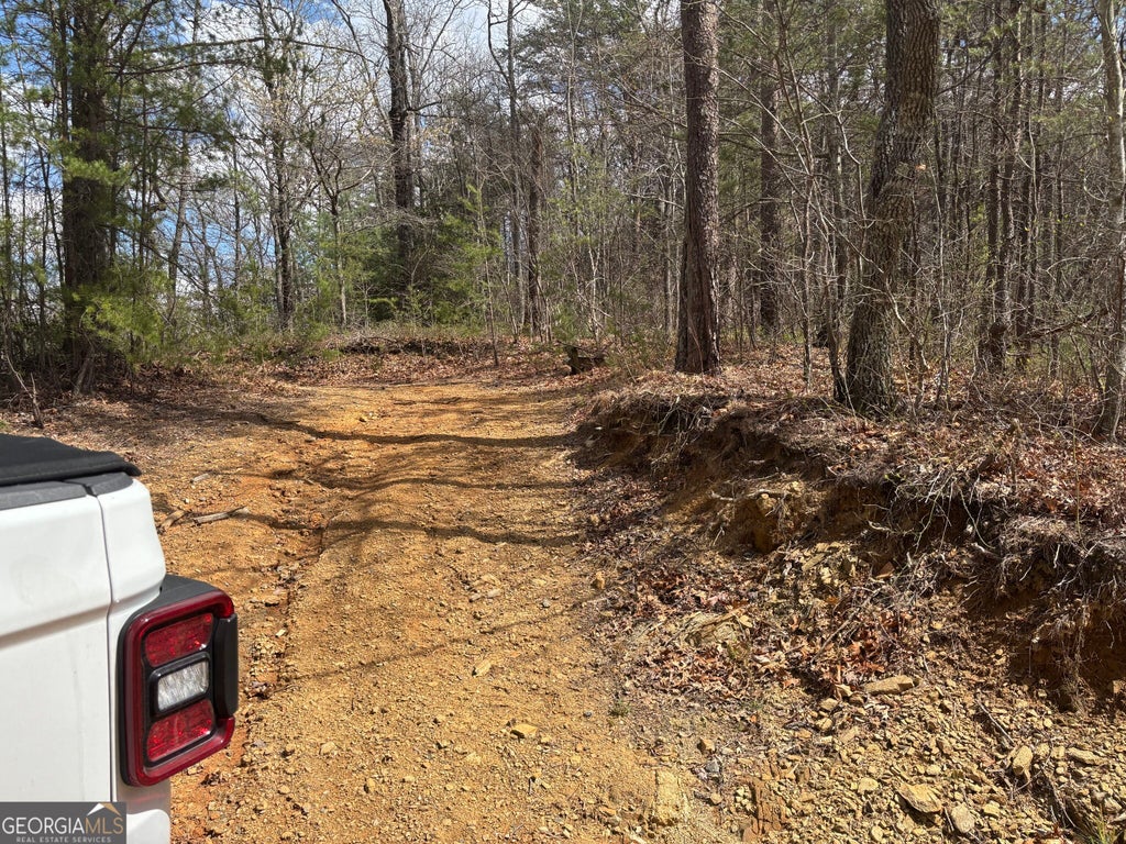 Photo of 0 Laurel Branch, Dawsonville, GA 30540 (MLS # 10838246)
