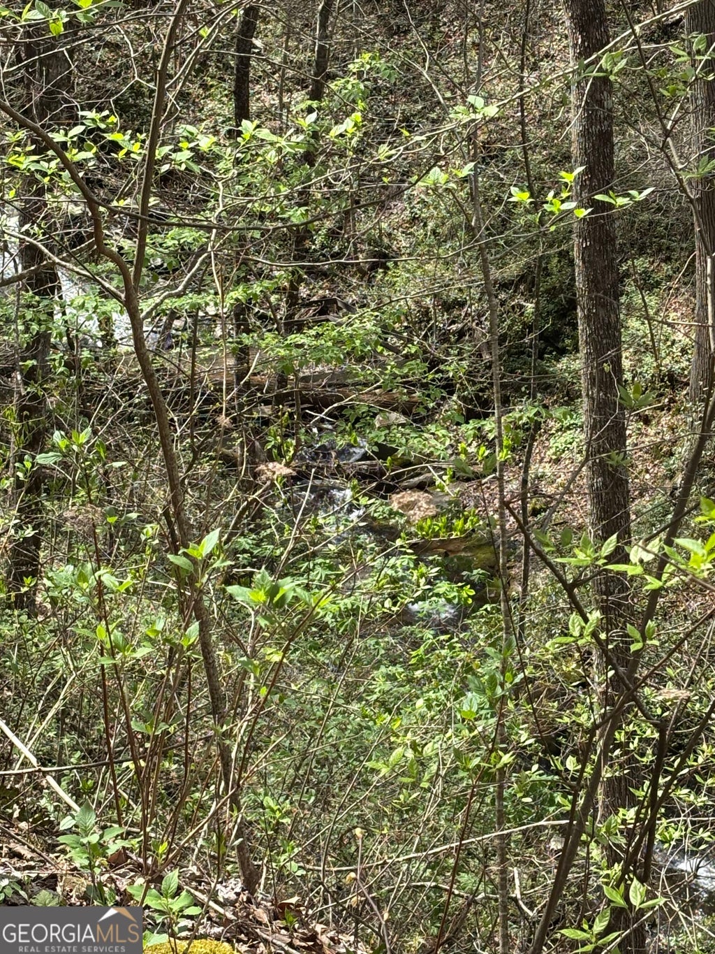 Photo of 0 Laurel Branch, Dawsonville, GA 30540 (MLS # 10838246)