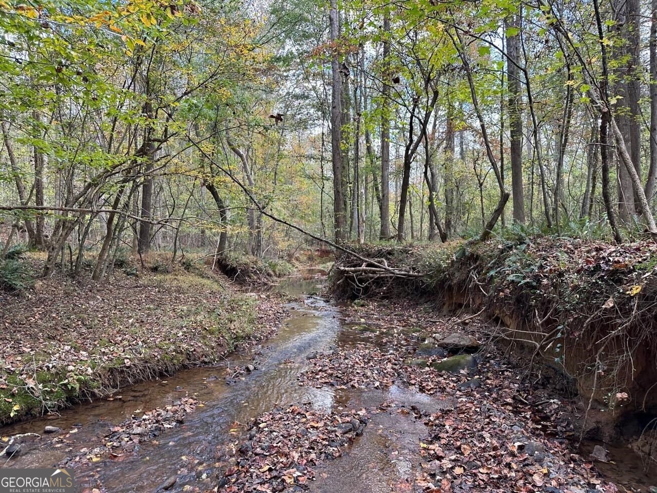 395 Acres located between I-85 and Athens a unique investment that you can enjoy! The Garrett Tract is conveniently located to I-85, Athens and Jefferson. The tract fronts on US Hwy 129 only 9 miles from I-85 (Exit 137), 12 miles to Athens and 5 miles to Jefferson. The property is located in the city limits of Arcade and is currently zoned PCFD, Planned Commercial Farm District as per the City of Arcade zoning regulations. The property fronts on US Hwy 129, in addition to a CSX railroad (2,090 feet). The Garrett Tract is ideal for the individual or family looking to purchase a recreational property in an area that has future development potential. The timber consists of a mature mixed hardwood/pine stand. In addition, there are several creeks that offer potential pond sites. Property is currently enrolled in Conservation Use, covenant ends 12/31/2030. Invest in the future of Northeast Georgia, Jackson County and the City of Arcade. Shown by appointment only, call Jesse 706-614-4855