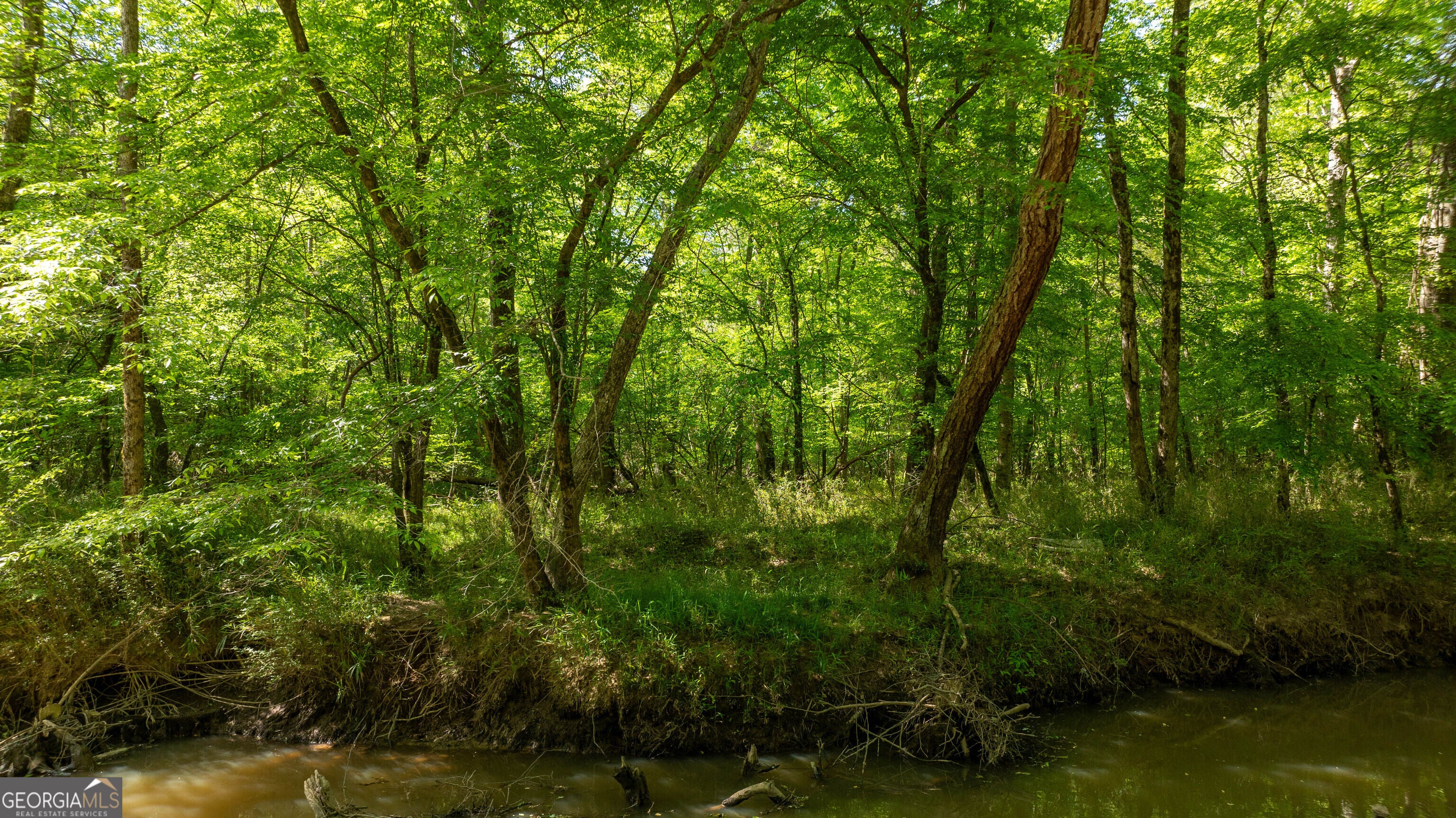 0 Highway 54 & Bear Creek RD 120.92+/- ACRES