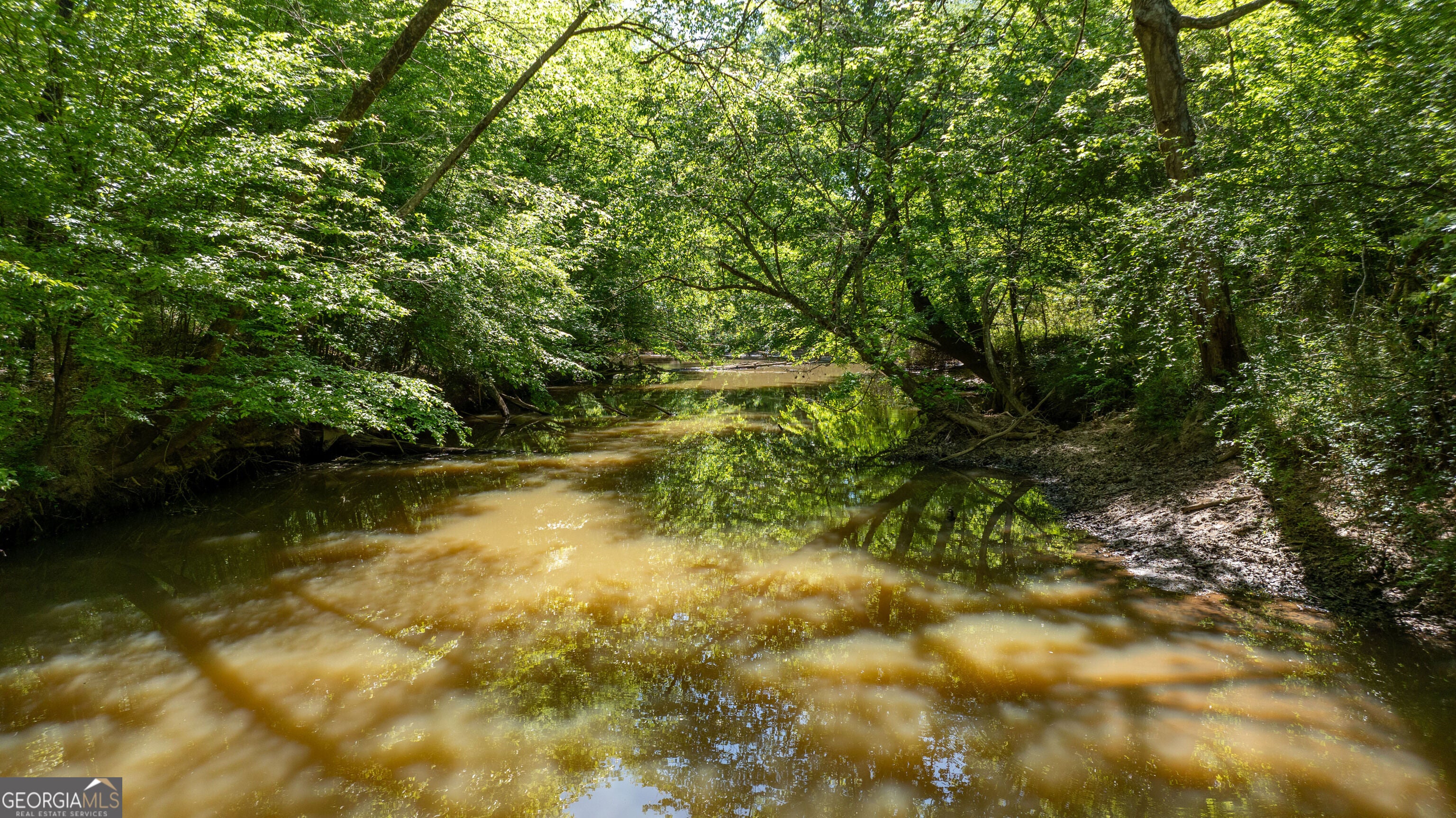 0 Highway 54 & Bear Creek RD 120.92+/- ACRES