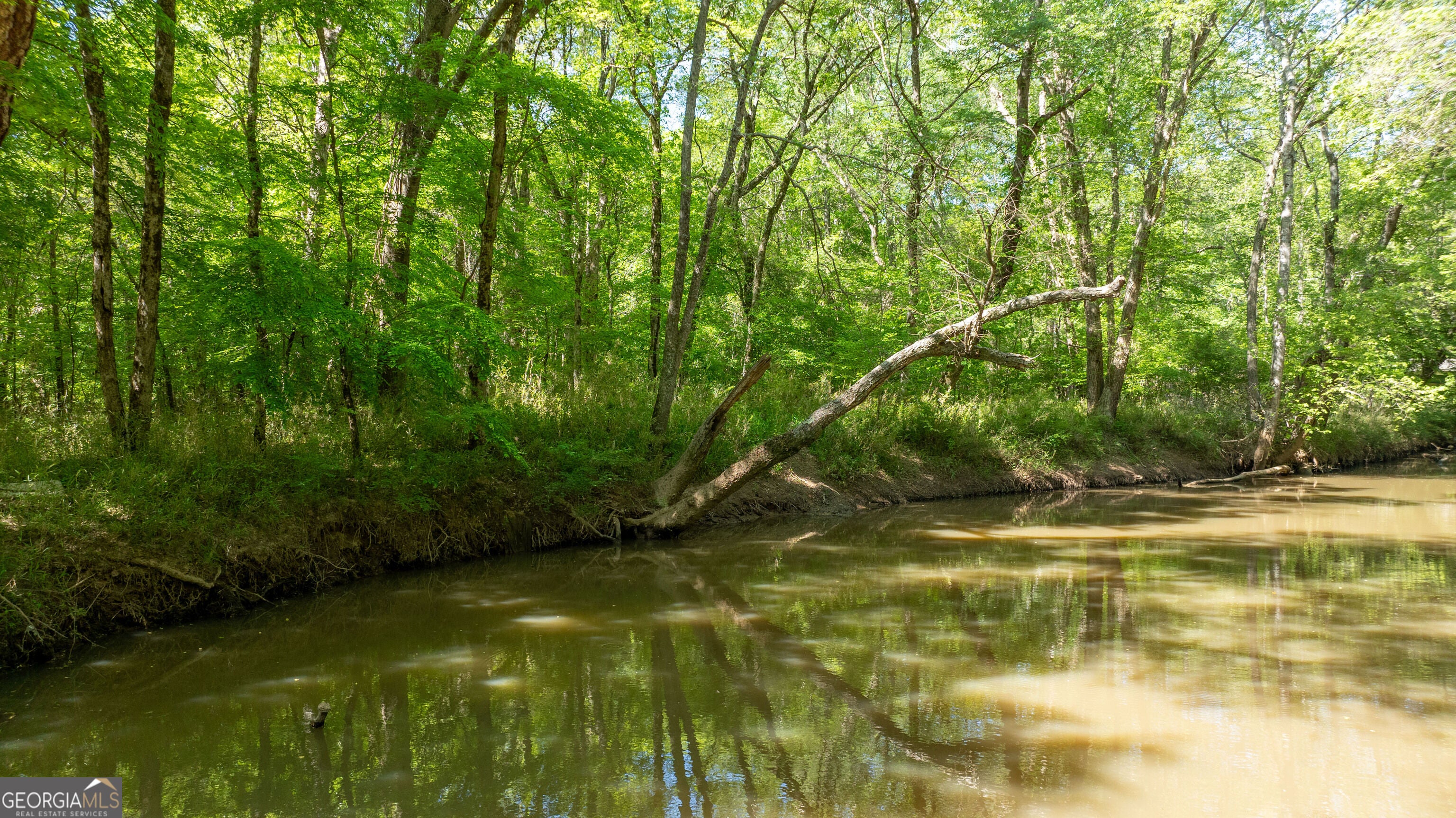0 Highway 54 & Bear Creek RD 120.92+/- ACRES