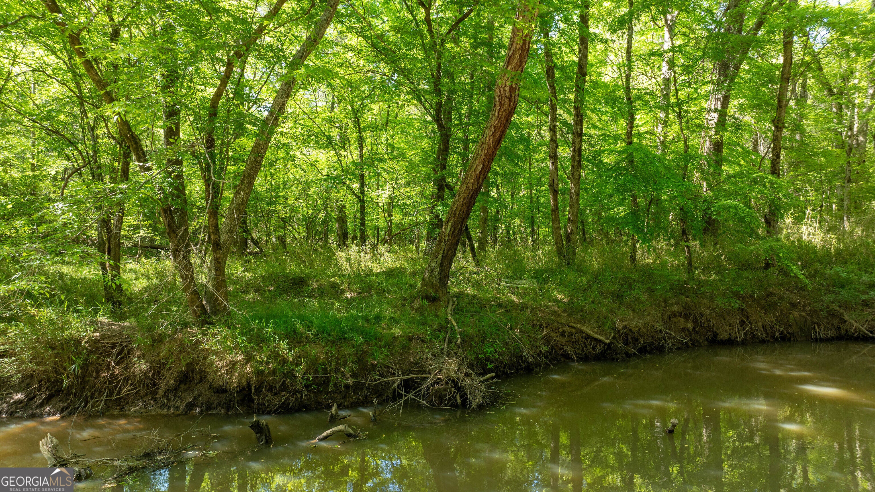 0 Highway 54 & Bear Creek RD 120.92+/- ACRES