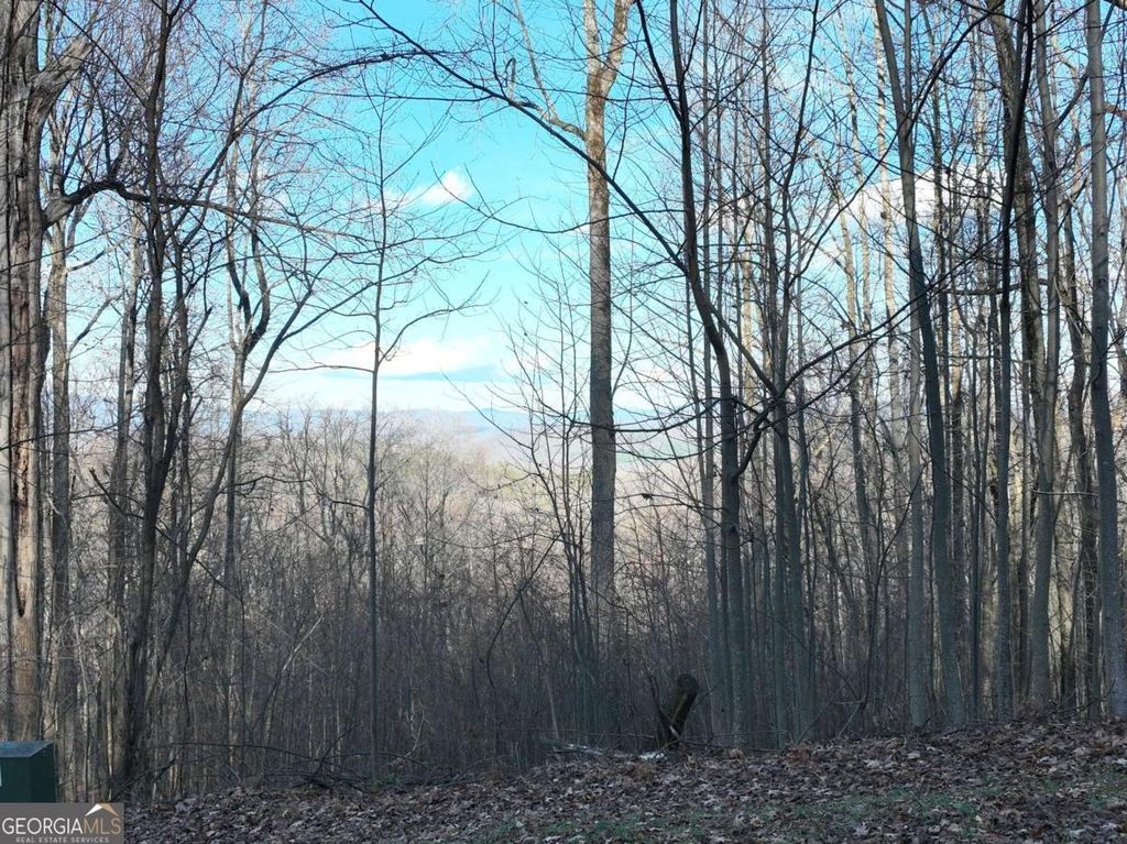 Photo of 281 Andes Ridge, Ellijay, GA 30536 (MLS # 10650142)