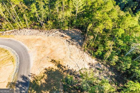 Photo of 0 Canoe Point, Ellijay, GA 30540 (MLS # 10679515)