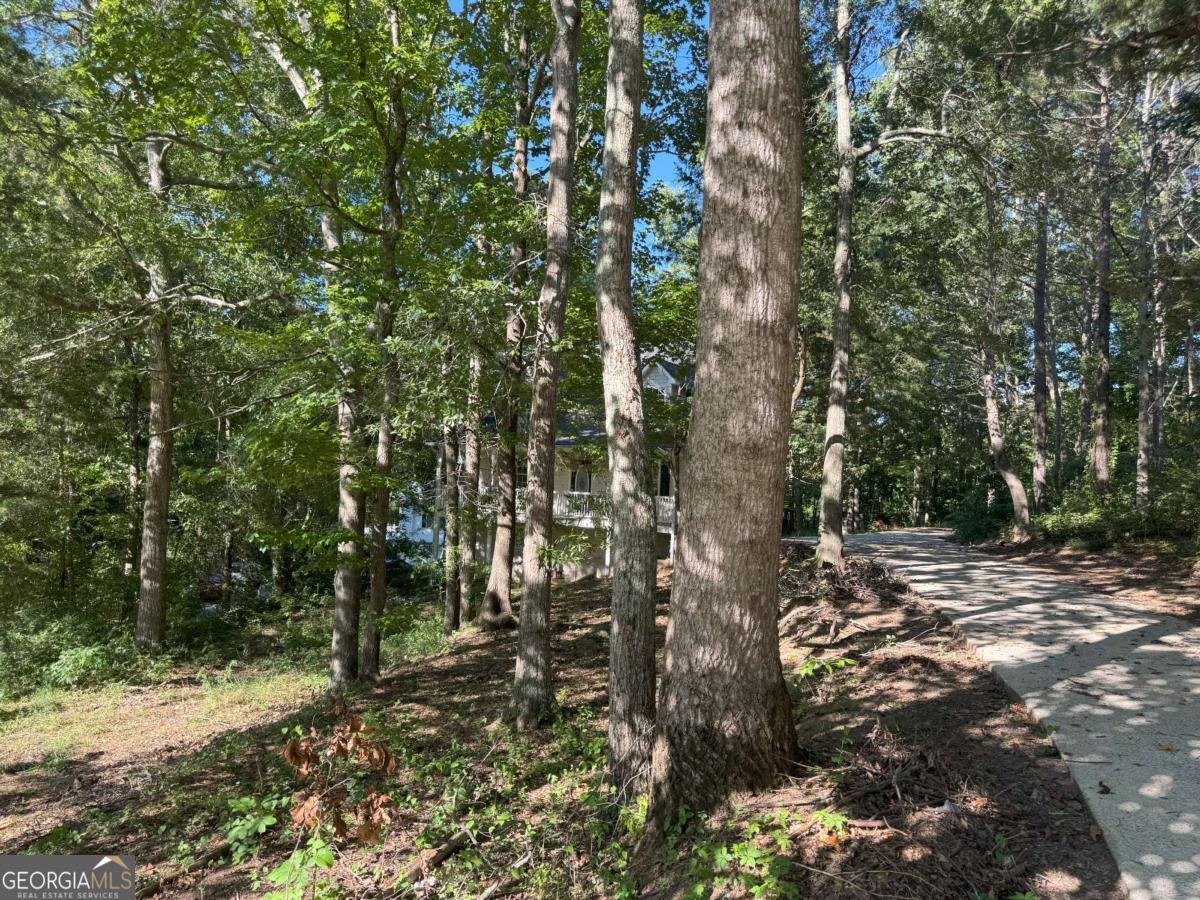 97 Welcome Woods DR