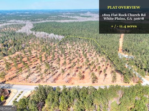 1809 Flat Rock Church RD White Plains GA 30678