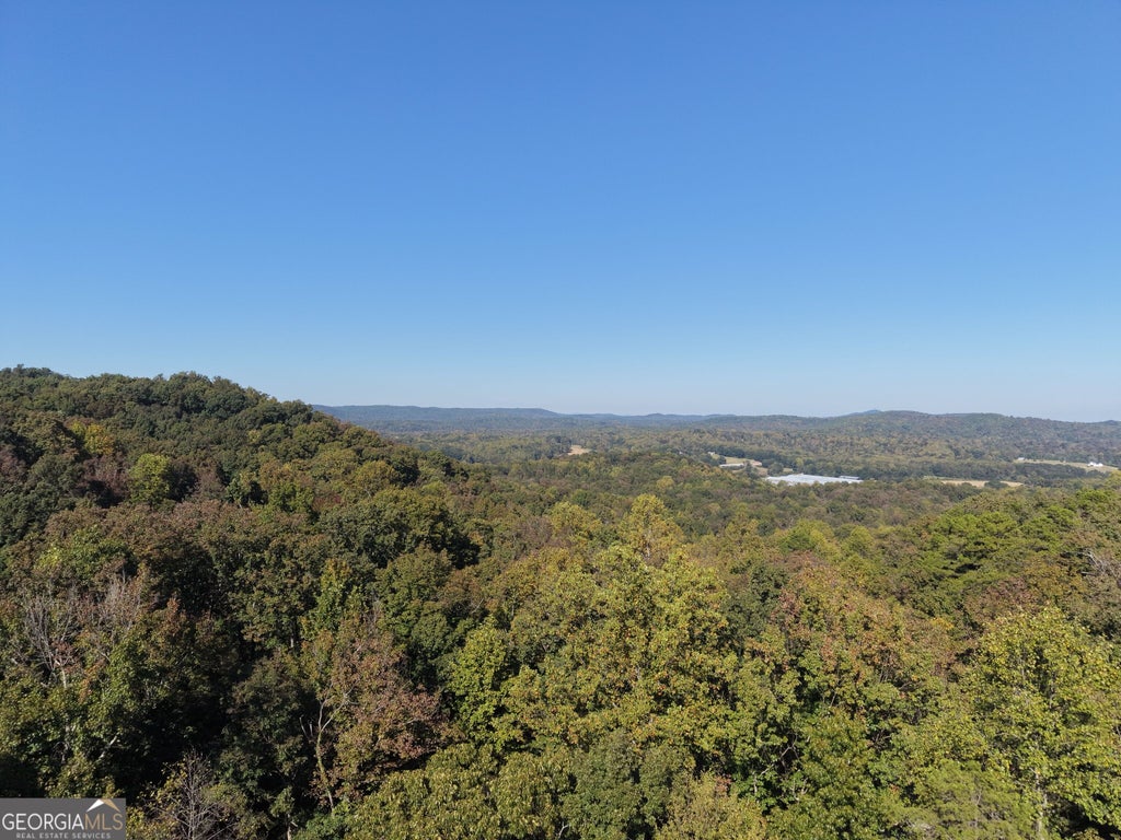 Photo of 52 Soapstone Road, Baldwin, GA 30511 (MLS # 10874559)