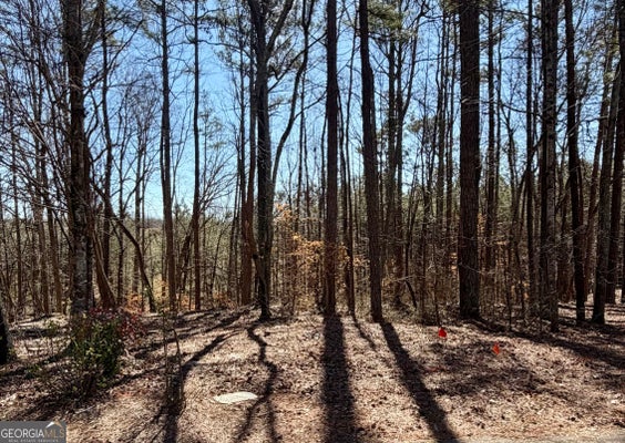 2487 S CARROLL CT, VILLA RICA, GA 30180 - Image a11ebe9ccdedbea7edc31d465ffe67cf/1275396429