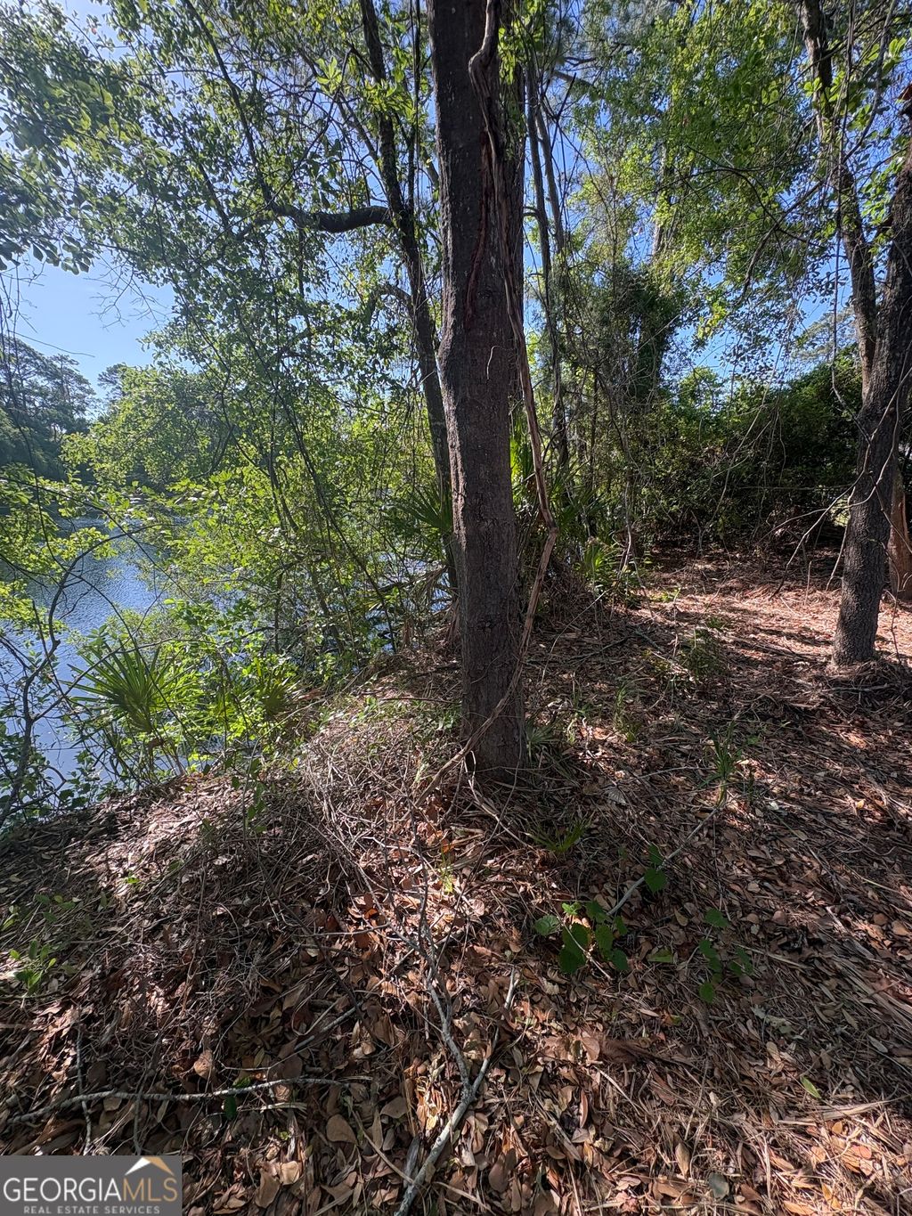 Photo of 155 Palmera Lane, Brunswick, GA 31525 (MLS # 10737323)