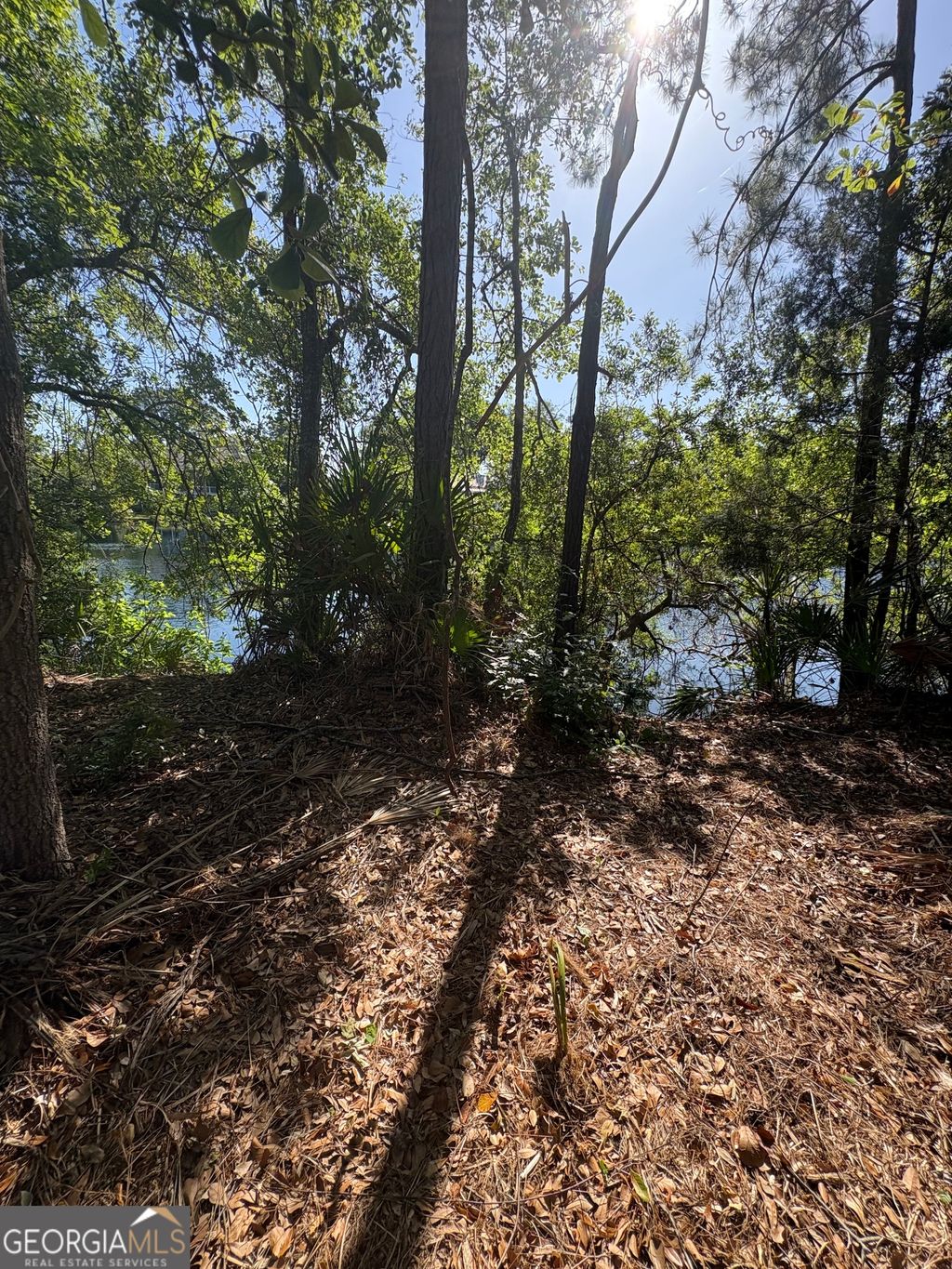 Photo of 155 Palmera Lane, Brunswick, GA 31525 (MLS # 10737323)