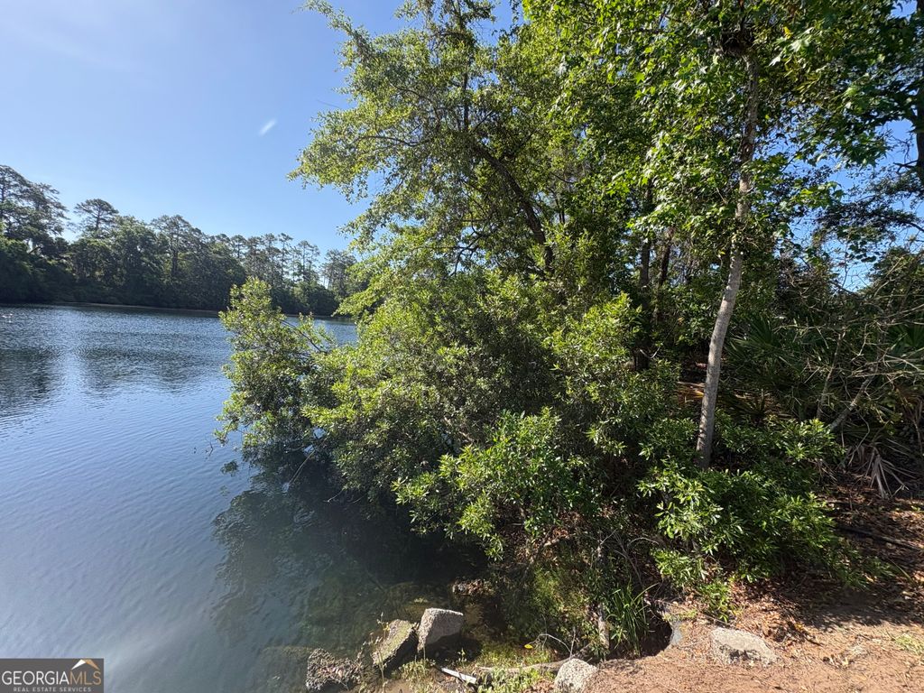 Photo of 155 Palmera Lane, Brunswick, GA 31525 (MLS # 10737323)