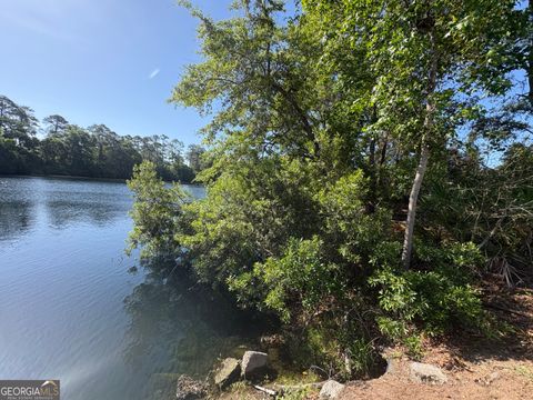 Photo of 155 Palmera Lane, Brunswick, GA 31525 (MLS # 10737323)