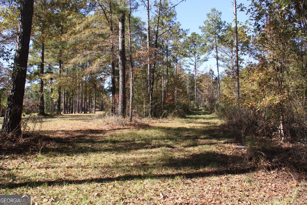 Photo of 504 Jenkins Road, Forsyth, GA 31029 (MLS # 10298443)