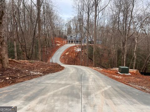 329 Twisting Ridge TRL Demorest GA 30535