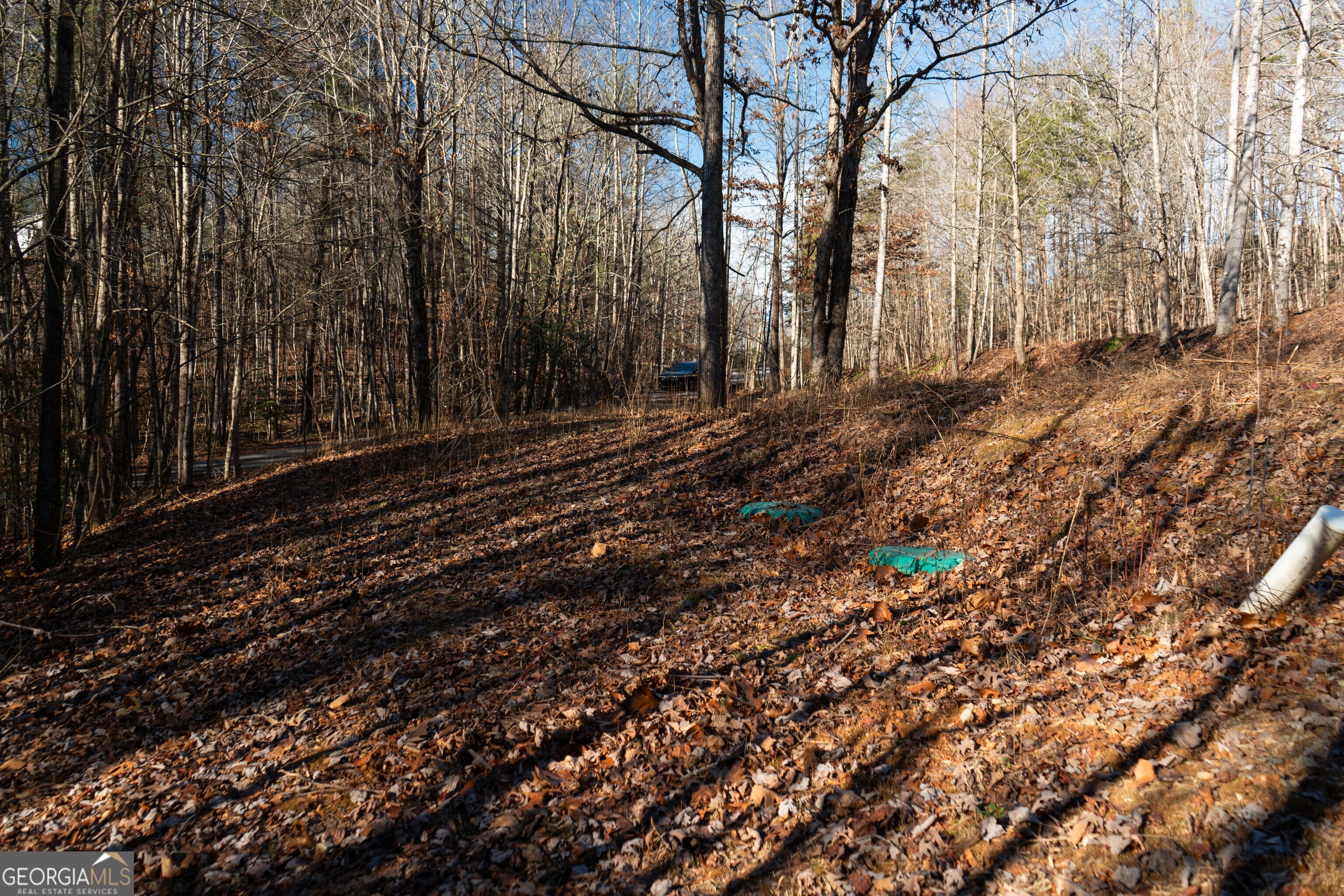 Sautee Nacoochee, Georgia 30571, United States, ,Land,Active,21258