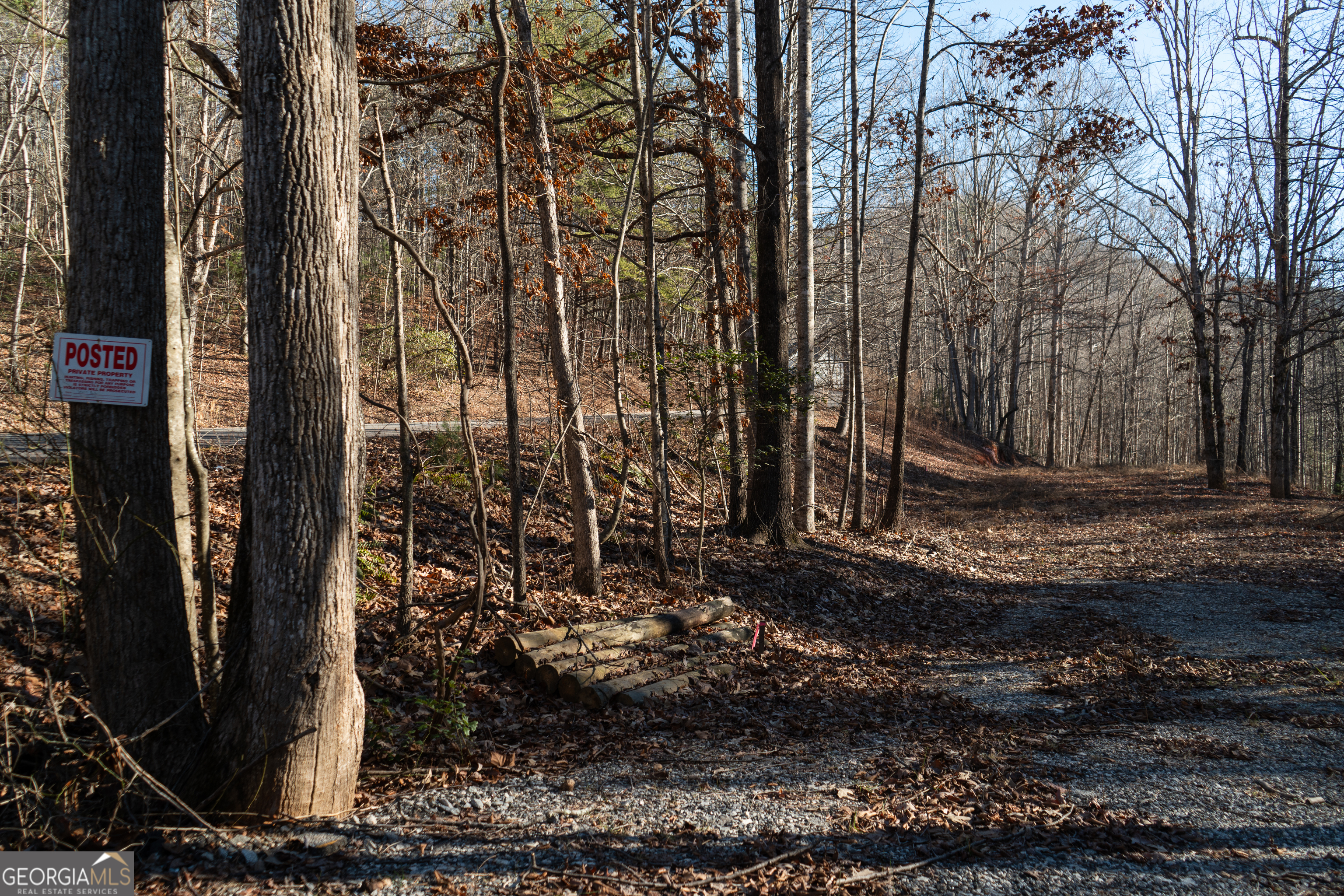 Sautee Nacoochee, Georgia 30571, United States, ,Land,Active,21258