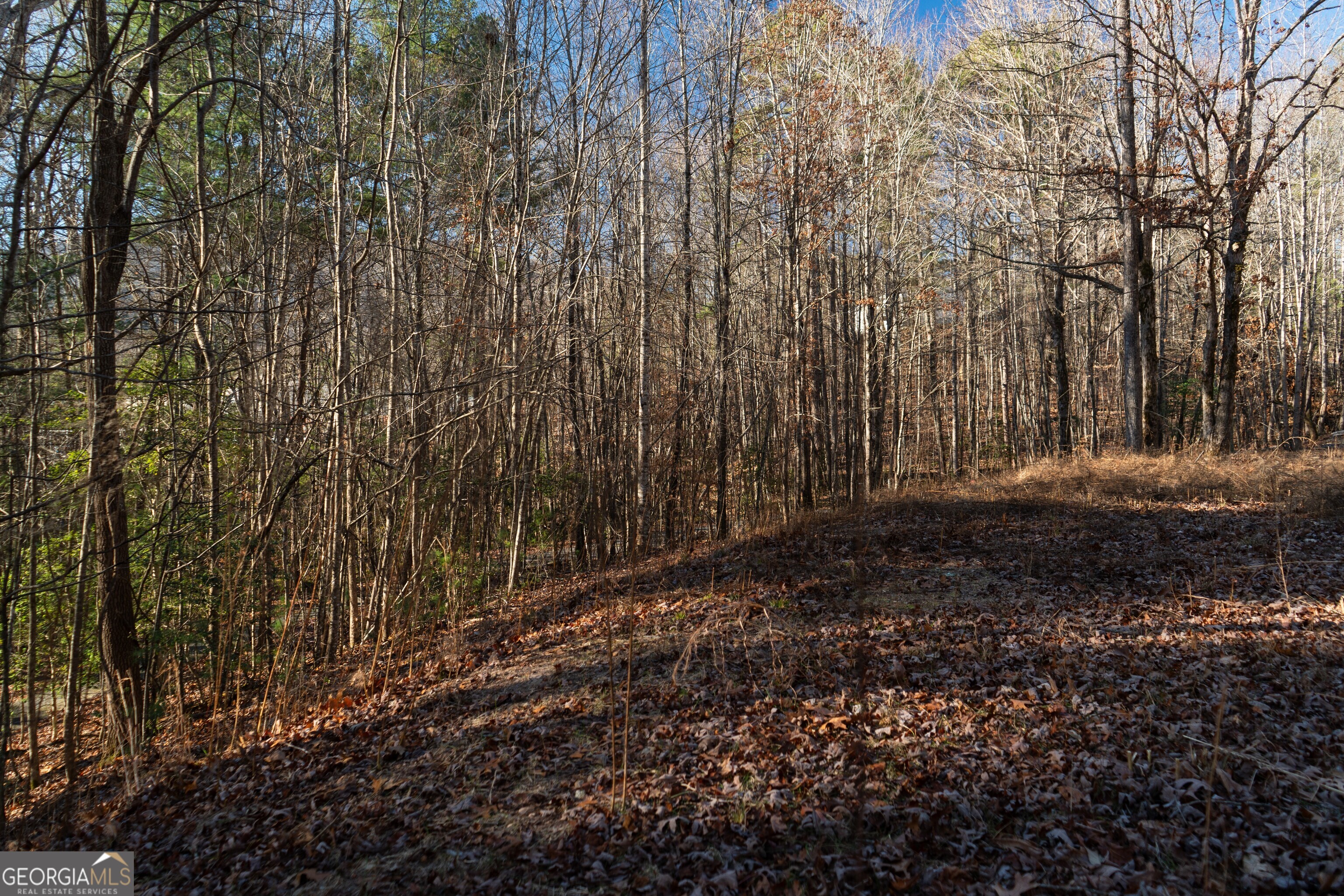 Sautee Nacoochee, Georgia 30571, United States, ,Land,Active,21258