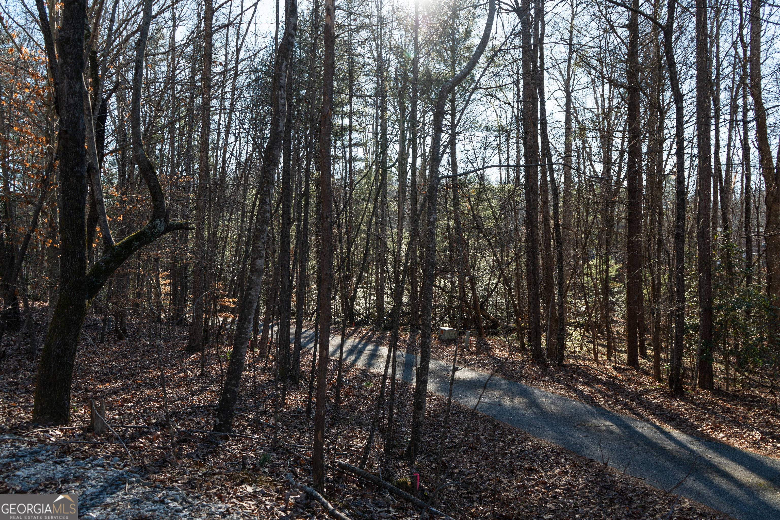 Sautee Nacoochee, Georgia 30571, United States, ,Land,Active,21258