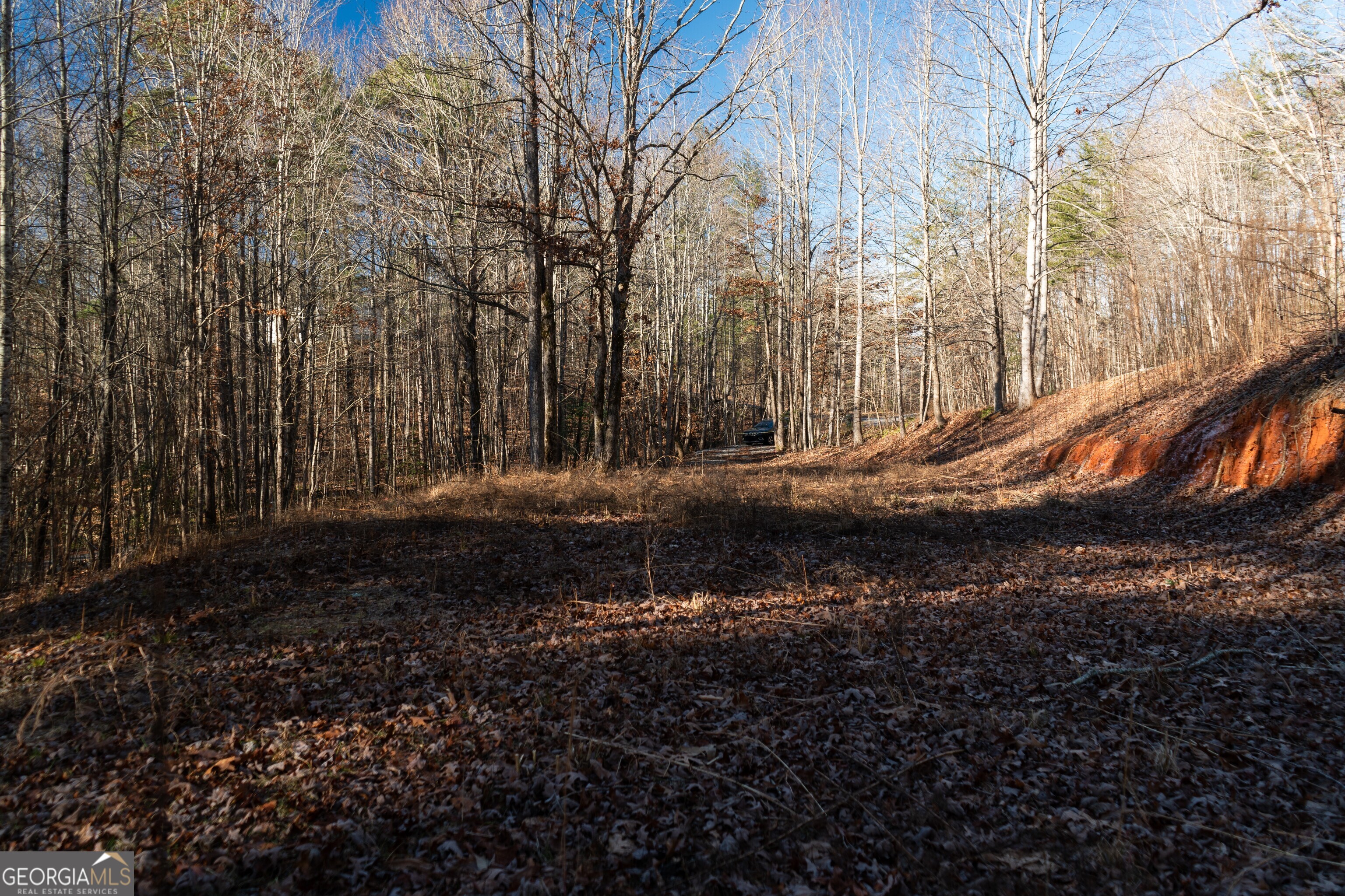 Sautee Nacoochee, Georgia 30571, United States, ,Land,Active,21258