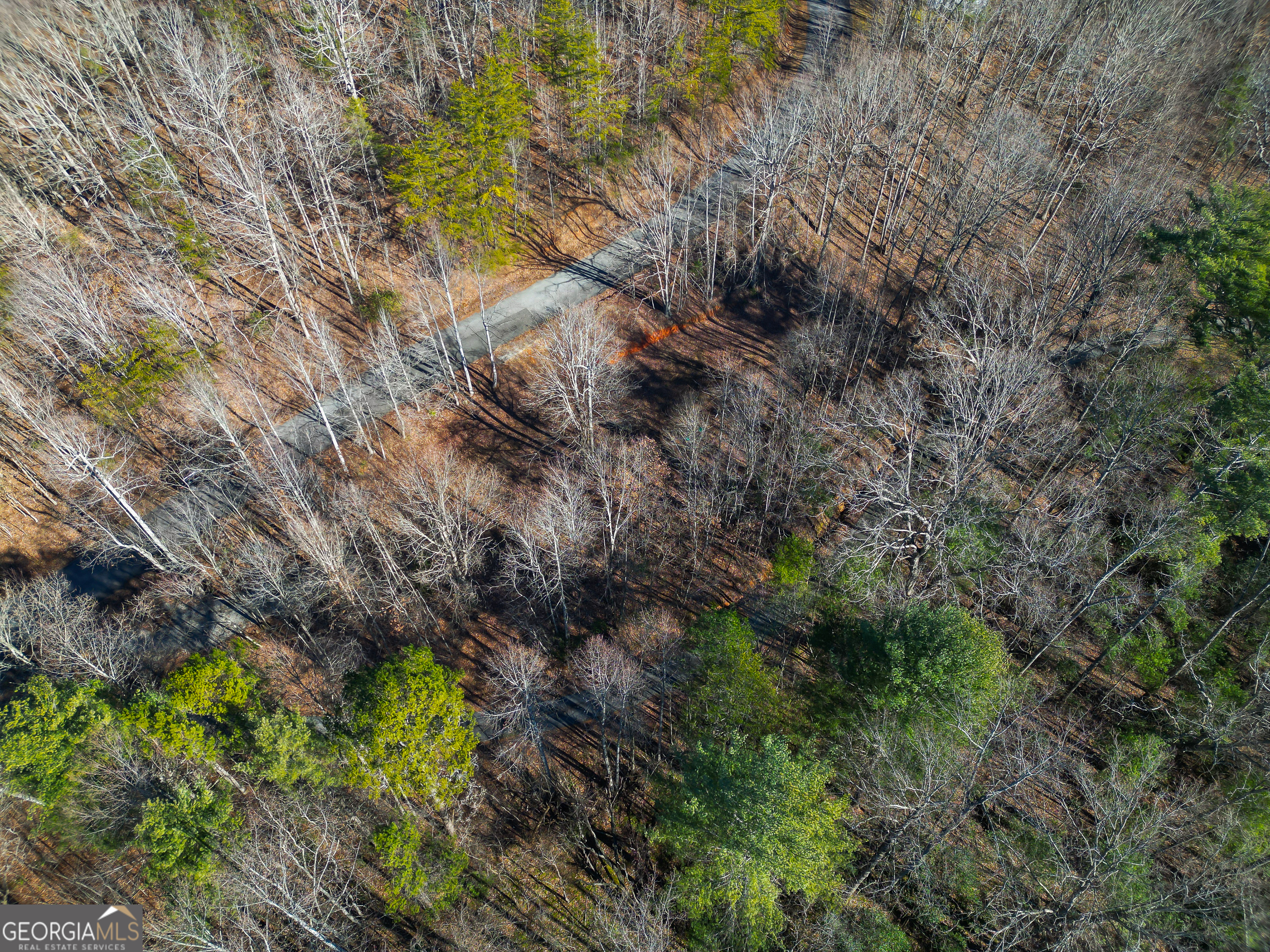 Sautee Nacoochee, Georgia 30571, United States, ,Land,Active,21258