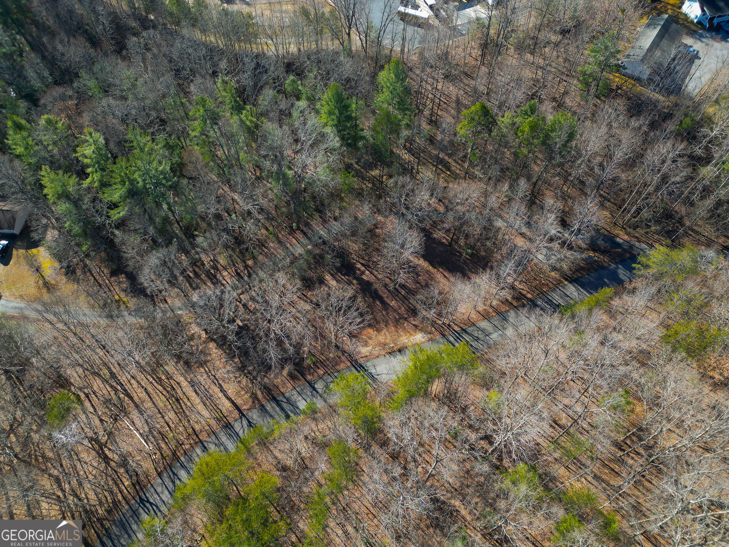 Sautee Nacoochee, Georgia 30571, United States, ,Land,Active,21258