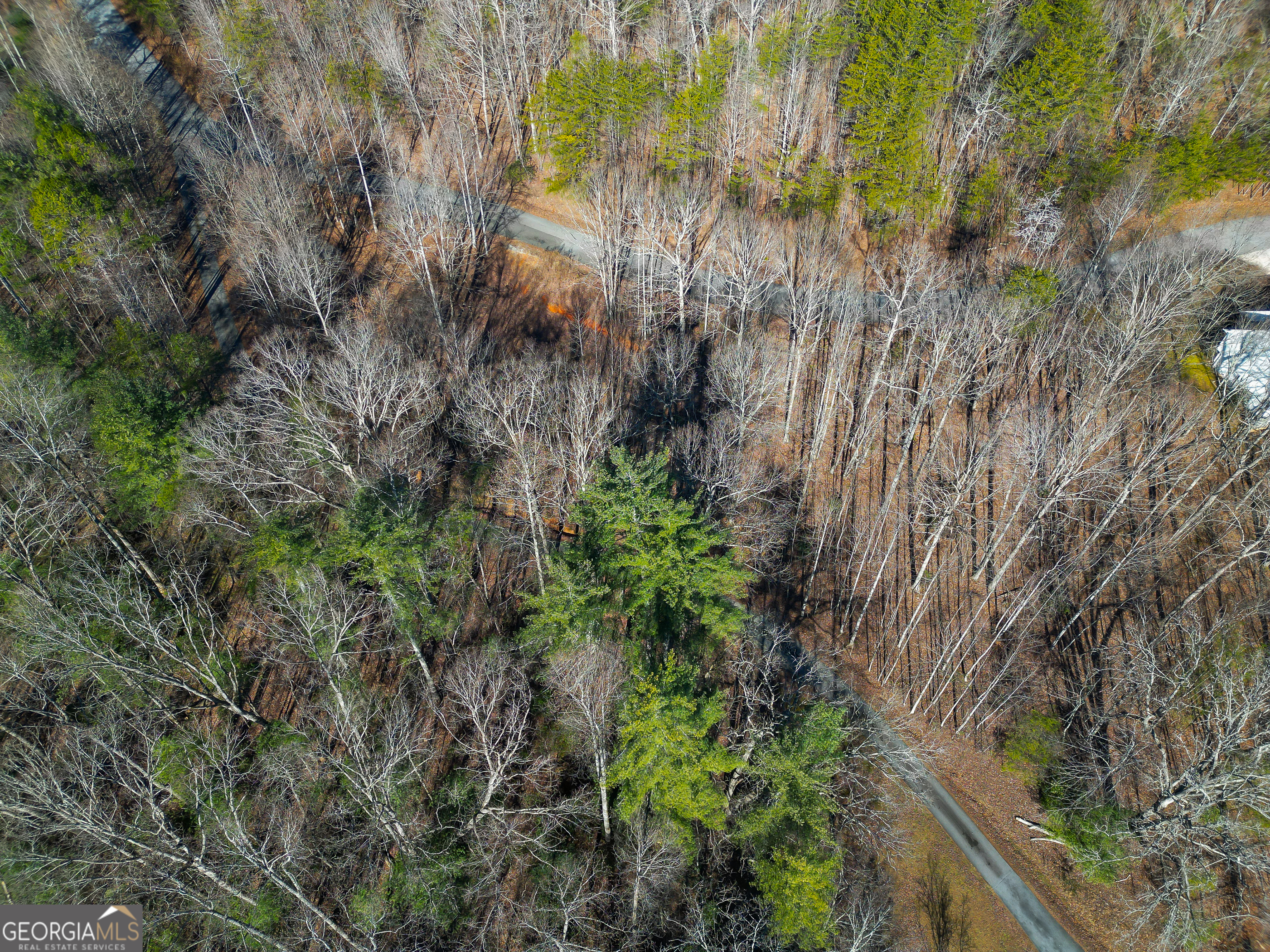 Sautee Nacoochee, Georgia 30571, United States, ,Land,Active,21258