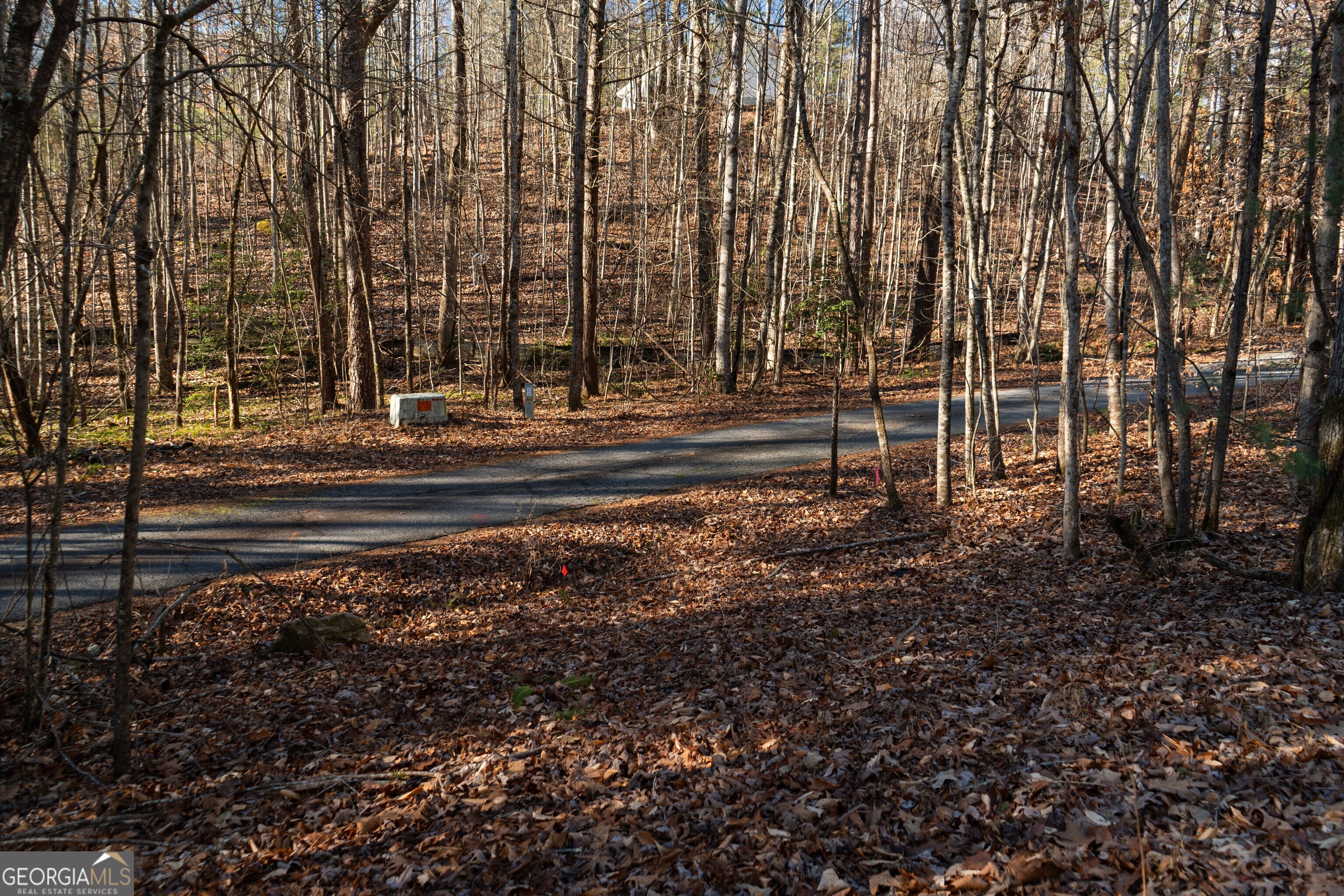 Sautee Nacoochee, Georgia 30571, United States, ,Land,Active,21258