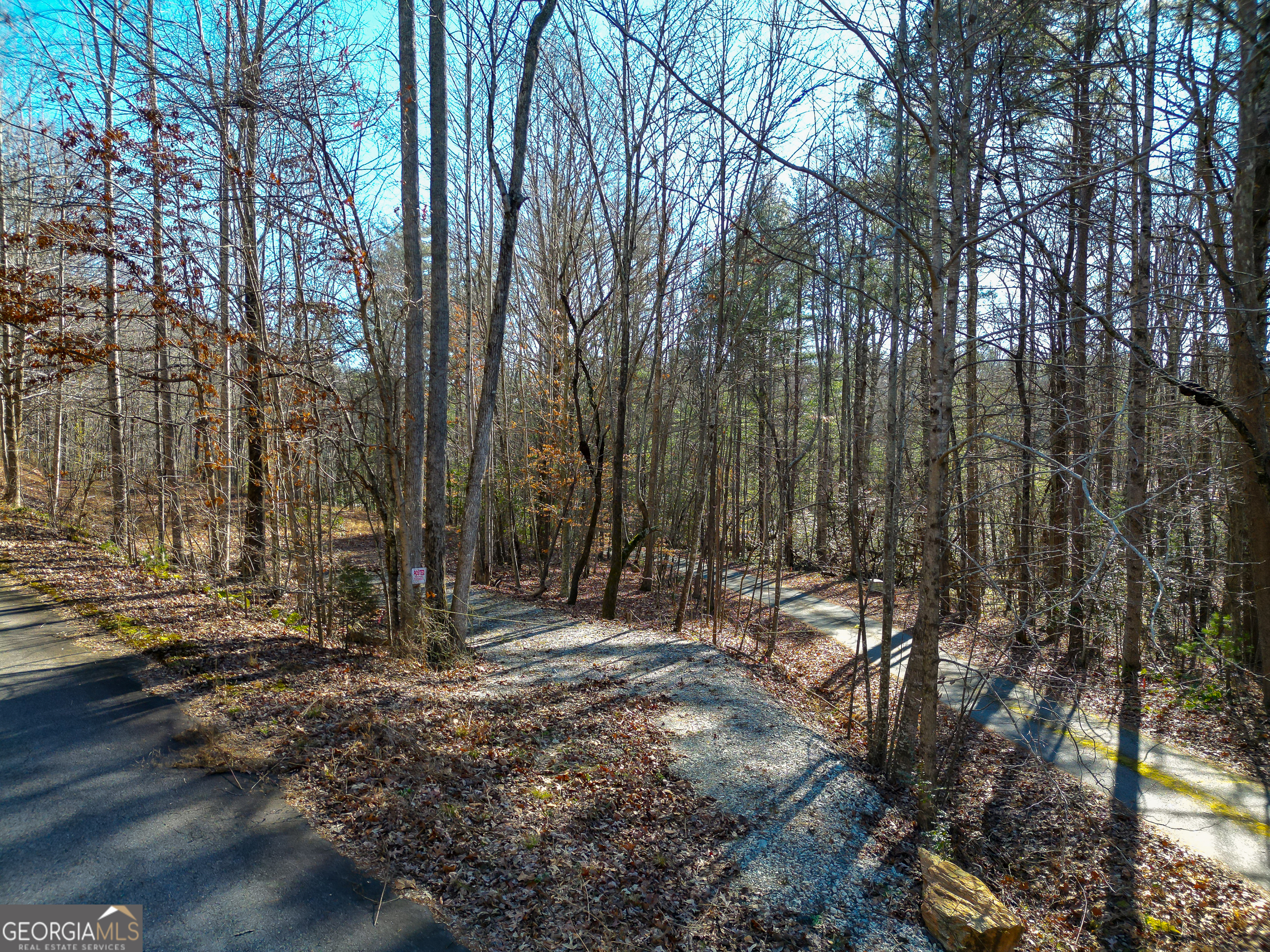 Sautee Nacoochee, Georgia 30571, United States, ,Land,Active,21258