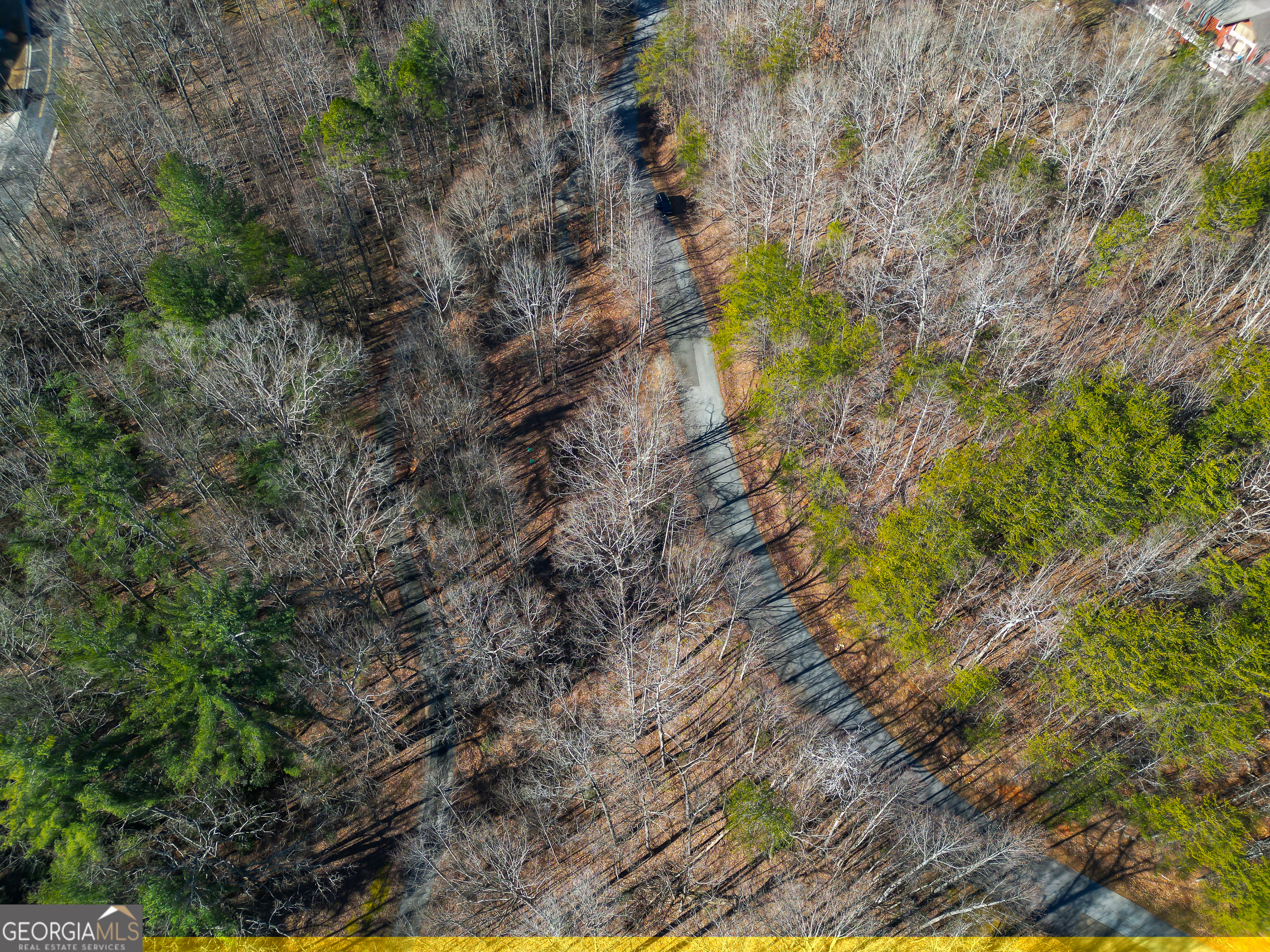 Sautee Nacoochee, Georgia 30571, United States, ,Land,Active,21258